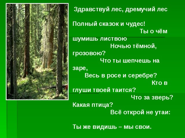  Здравствуй лес, дремучий лес Полный сказок и чудес! Ты о чём шумишь листвою Ночью тёмной, грозовою? Что ты шепчешь на заре, Весь в росе и серебре? Кто в глуши твоей таится? Что за зверь? Какая птица? Всё открой не утаи: Ты же видишь – мы свои. 