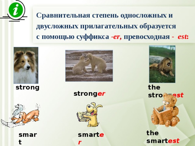 Сравнительная степень односложных и двусложных прилагательных образуется с помощью суффикса  -er , превосходная  - est :   strong er strong the strong est the smart est smart smart er 