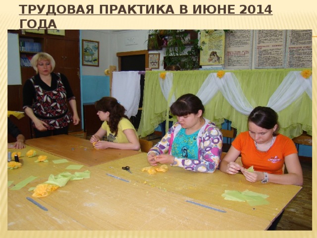 Трудовая практика в июне 2014 года 