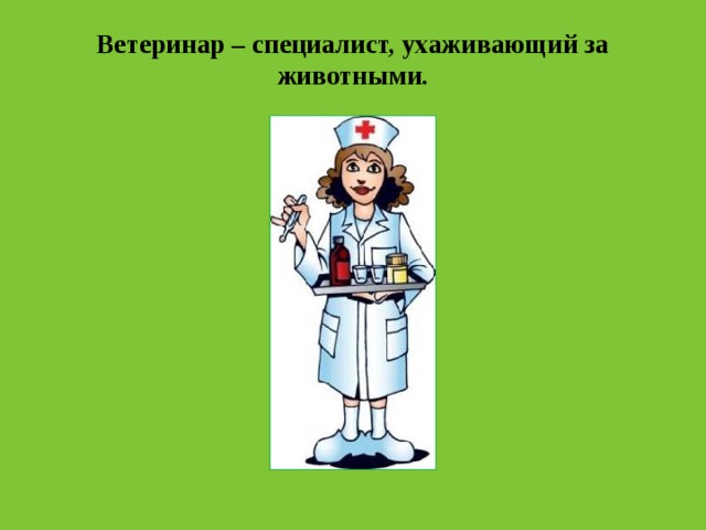 Ветеринар – специалист, ухаживающий за животными. 