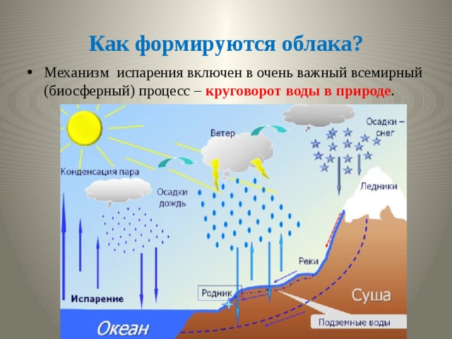 Как формируются облака? Механизм испарения включен в очень важный всемирный (биосферный) процесс – круговорот воды в природе . 