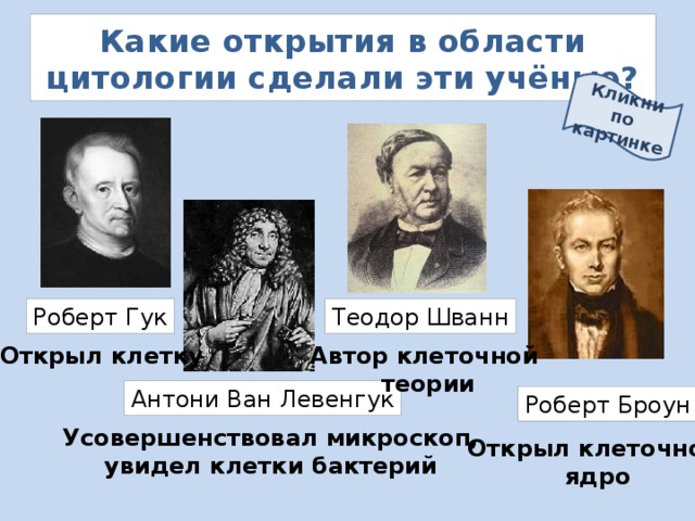 Кликни по картинке Какие открытия в области цитологии сделали эти учёные? Теодор Шванн Роберт Гук Открыл клетку Автор клеточной  теории Антони Ван Левенгук Роберт Броун Усовершенствовал микроскоп, увидел клетки бактерий Открыл клеточное  ядро 