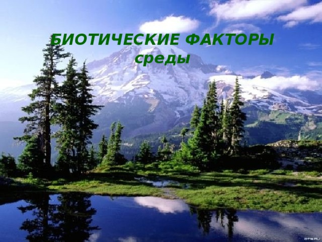 БИОТИЧЕСКИЕ ФАКТОРЫ  среды 
