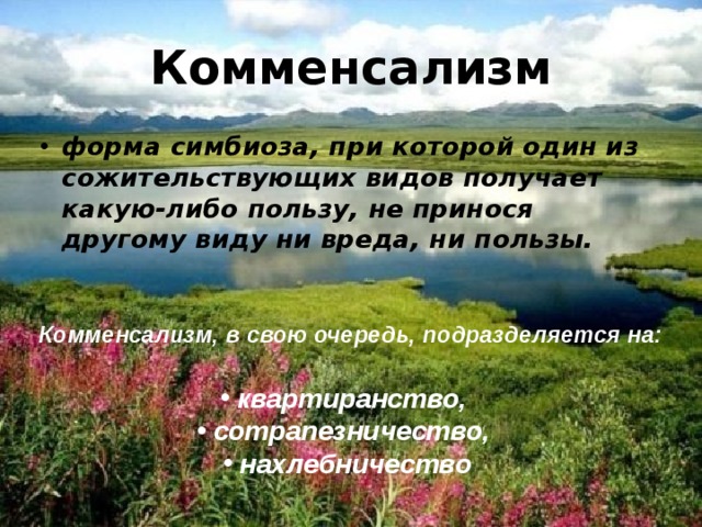 Комменсализм форма симбиоза, при которой один из сожительствующих видов получает какую-либо пользу, не принося другому виду ни вреда, ни пользы. Комменсализм, в свою очередь, подразделяется на:  квартиранство, сотрапезничество, нахлебничество 