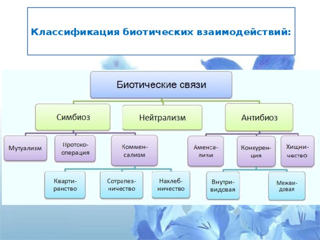  Классификация биотических взаимодействий:   