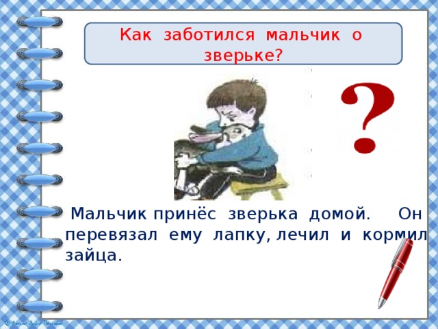 Как заботился мальчик о зверьке?  Мальчик принёс зверька домой. Он перевязал ему лапку, лечил и кормил зайца. 