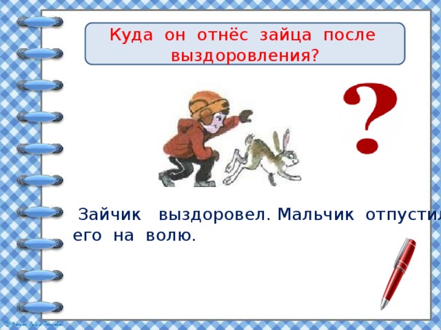 Куда он отнёс зайца после выздоровления?  Зайчик выздоровел. Мальчик отпустил его на волю. 