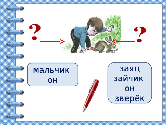 заяц зайчик он зверёк мальчик он 