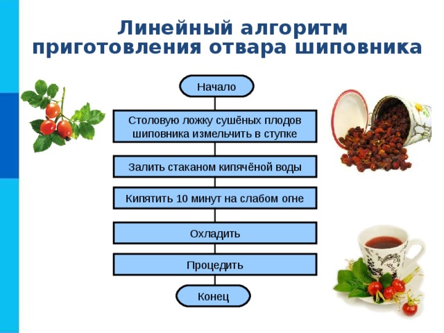 Линейный алгоритм  приготовления отвара шиповника Начало Столовую ложку сушёных плодов шиповника измельчить в ступке Залить стаканом кипячёной воды Кипятить 10 минут на слабом огне Охладить Процедить Конец 