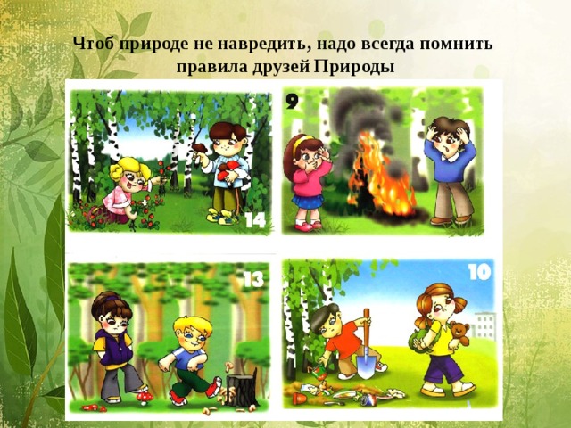 Чтоб природе не навредить, надо всегда помнить  правила друзей Природы
