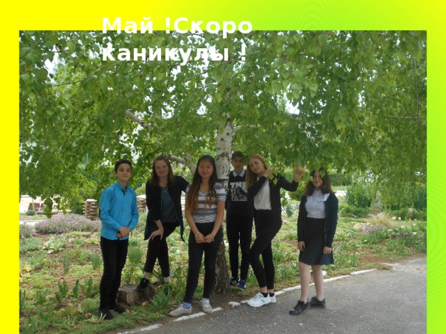 Май !Скоро каникулы ! 