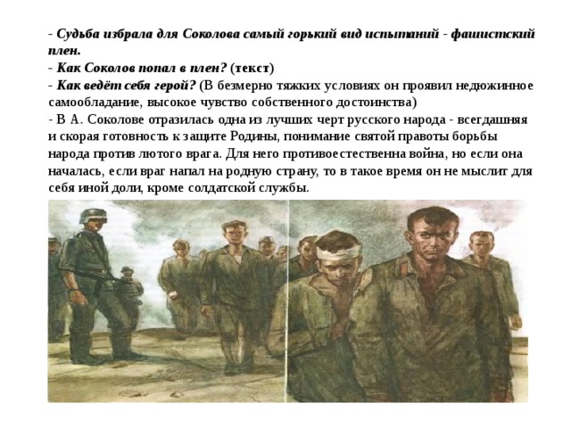 - Судьба избрала для Соколова самый горький вид испытаний - фашистский плен.   - Как Соколов попал в плен?  (текст)  - Как ведёт себя герой?  (В безмерно тяжких условиях он проявил недюжинное самообладание, высокое чувство собственного достоинства)  - В А. Соколове отразилась одна из лучших черт русского народа - всегдашняя и скорая готовность к защите Родины, понимание святой правоты борьбы народа против лютого врага. Для него противоестественна война, но если она началась, если враг напал на родную страну, то в такое время он не мыслит для себя иной доли, кроме солдатской службы. 