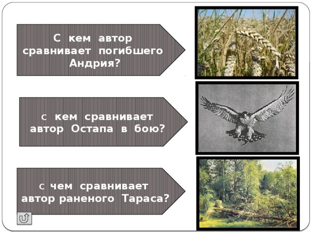 Как хлебный колос, подрезанный серпом, повис он головой… С кем автор сравнивает погибшего Андрия?  С кем сравнивает автор Остапа в бою? Как плавающий в небе ястреб… так Тарасов сын, Остап… И грохнулся он, как   подрубленный дуб, на землю. С чем сравнивает автор раненого Тараса? 