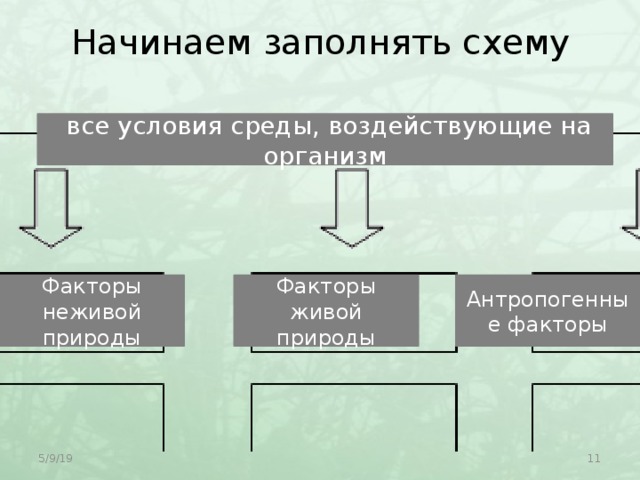 Начинаем заполнять схему  все условия среды, воздействующие на организм Факторы неживой природы Факторы живой природы Антропогенные факторы 5/9/19  
