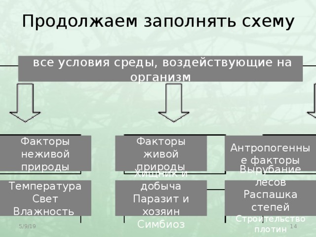Продолжаем заполнять схему  все условия среды, воздействующие на организм Факторы неживой природы Факторы живой природы Антропогенные факторы Вырубание лесов Хищник и добыча Температура Свет Паразит и хозяин Распашка степей Влажность Симбиоз Строительство плотин  5/9/19 
