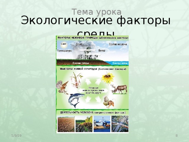 Тема урока Экологические факторы среды 5/9/19  