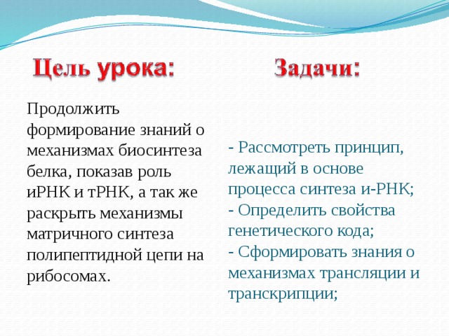 Продолжить формирование знаний о механизмах биосинтеза белка, показав роль иРНК и тРНК, а так же раскрыть механизмы матричного синтеза полипептидной цепи на рибосомах. - Рассмотреть принцип, лежащий в основе процесса синтеза и-РНК; - Определить свойства генетического кода; - Сформировать знания о механизмах трансляции и транскрипции; 