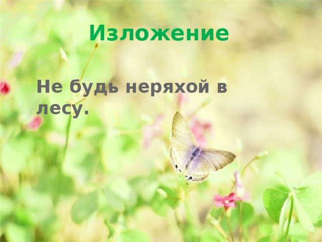 Изложение  Не будь неряхой в лесу. 