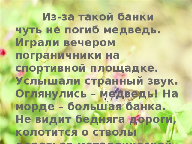  Из-за такой банки чуть не погиб медведь. Играли вечером пограничники на спортивной площадке. Услышали странный звук. Оглянулись – медведь! На морде – большая банка. Не видит бедняга дороги, колотится о стволы деревьев металлической головой. 