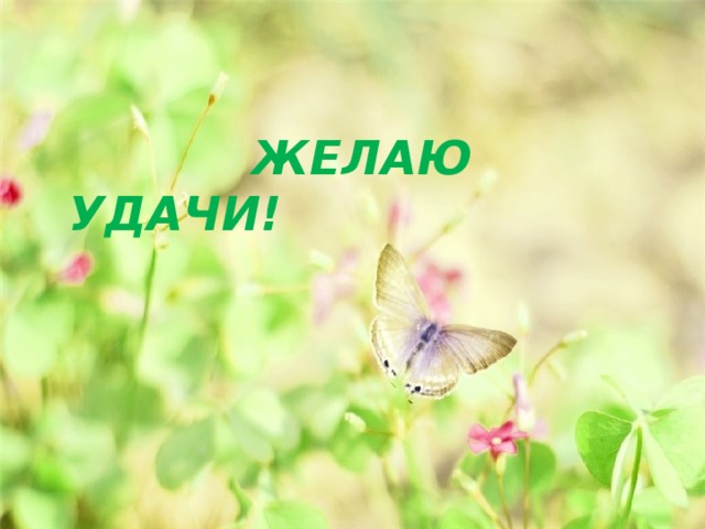  ЖЕЛАЮ УДАЧИ! 