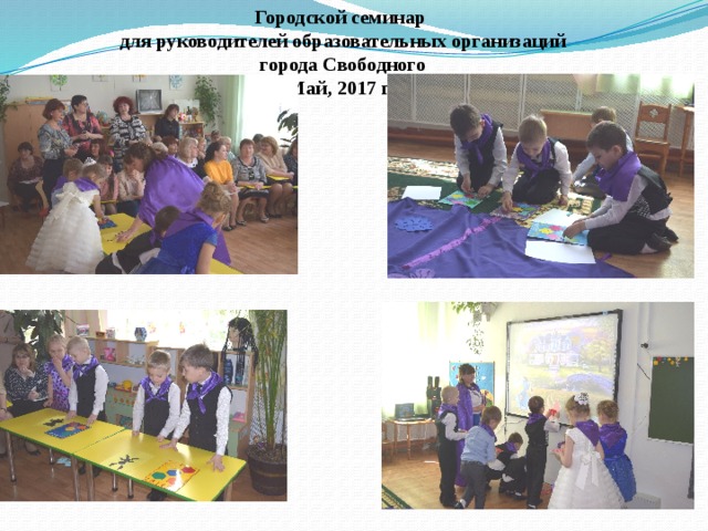 Городской семинар для руководителей образовательных организаций города Свободного Май, 2017 г. 