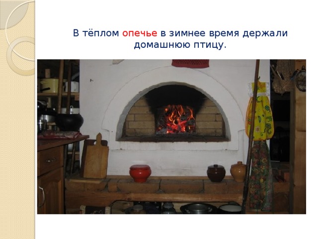 В тёплом опечье в зимнее время держали домашнюю птицу.   