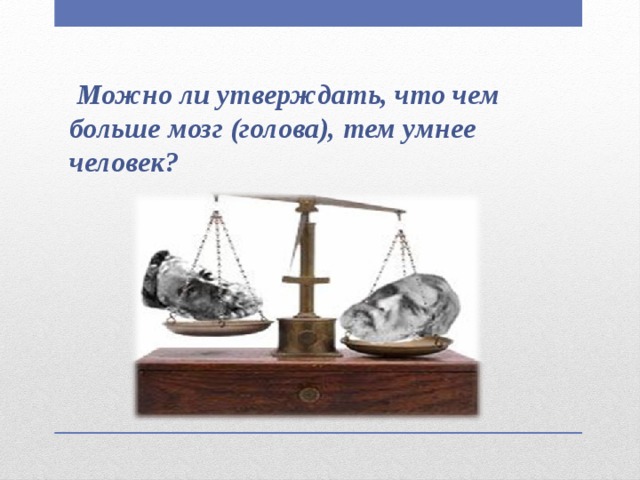 Можно ли утверждать, что чем больше мозг (голова), тем умнее человек?
