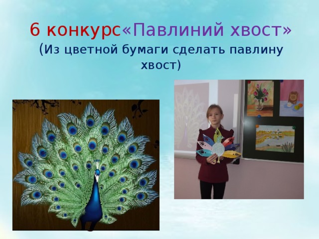 6 конкурс «Павлиний хвост»  ( Из цветной бумаги сделать павлину хвост) 