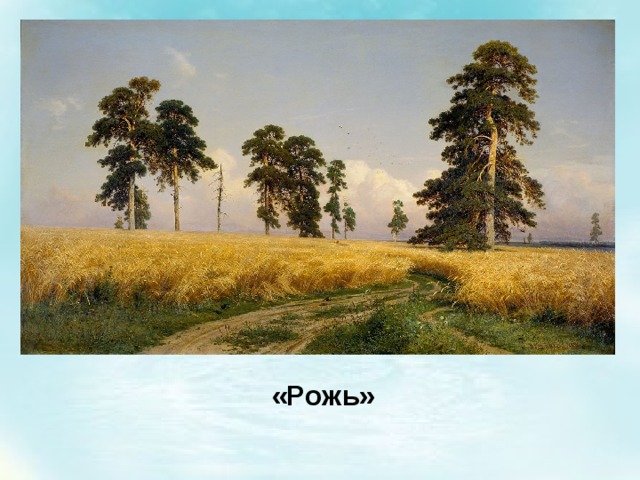 «Рожь» 