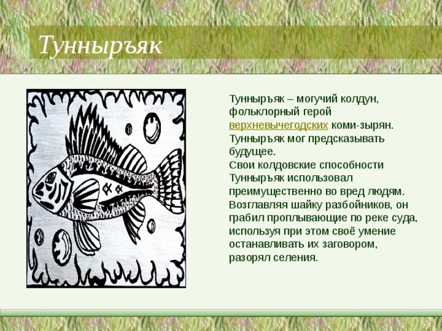 Тунныръяк Тунныръяк – могучий колдун, фольклорный герой  верхневычегодских  коми-зырян. Тунныръяк мог предсказывать будущее. Свои колдовские способности Тунныръяк использовал преимущественно во вред людям. Возглавляя шайку разбойников, он грабил проплывающие по реке суда, используя при этом своё умение останавливать их заговором, разорял селения. 