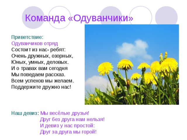  Команда «Одуванчики» Приветствие: Одуванчиков отряд Состоит из нас- ребят: Очень дружных, озорных, Юных, умных, деловых. И о травах вам сегодня Мы поведаем рассказ. Всем успехов мы желаем. Поддержите дружно нас! Наш девиз : Мы весёлые друзья!  Друг без друга нам нельзя!  И девиз у нас простой:  Друг за друга мы горой! 