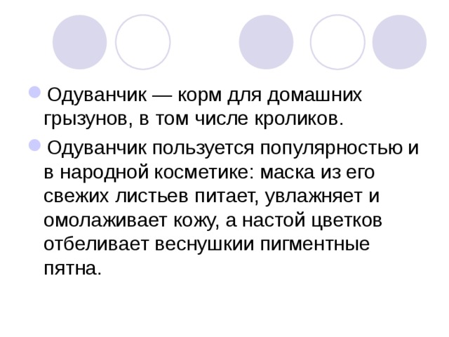 Одуванчик — корм для домашних грызунов, в том числе кроликов. Одуванчик пользуется популярностью и в народной косметике: маска из его свежих листьев питает, увлажняет и омолаживает кожу, а настой цветков отбеливает веснушкии пигментные пятна. 