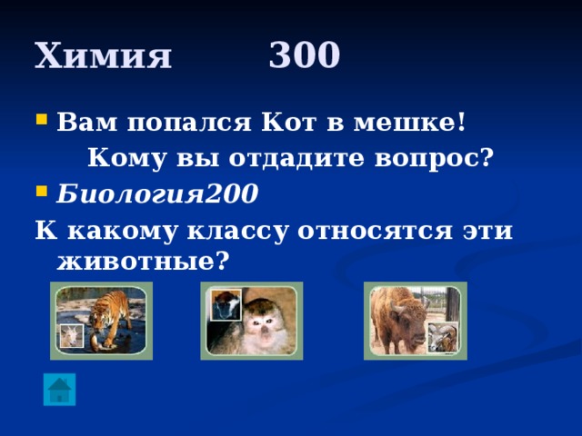 Химия     300 Вам попался Кот в мешке! Кому вы отдадите вопрос? Биология200 К какому классу относятся эти животные? 