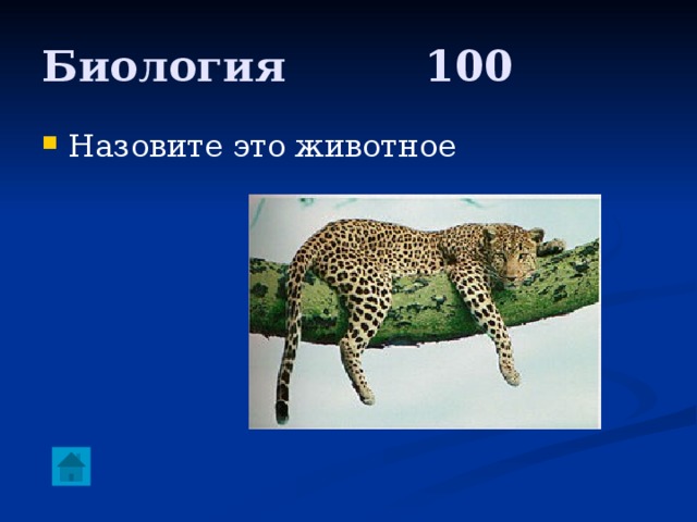 Биология     100 Назовите это животное 