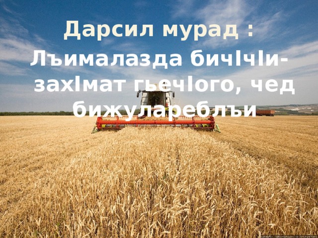 Дарсил мурад : Лъималазда бичIчIи- захIмат гьечIого, чед бижулареблъи 