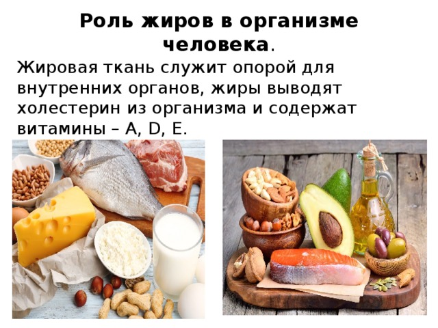 Роль жиров в организме человека . Жировая ткань служит опорой для внутренних органов, жиры выводят холестерин из организма и содержат витамины – А, D, Е. 