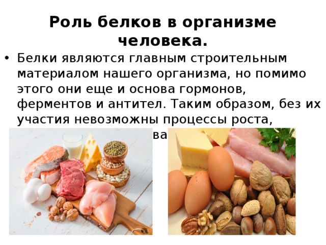 Роль белков в организме человека. Белки являются главным строительным материалом нашего организма, но помимо этого они еще и основа гормонов, ферментов и антител. Таким образом, без их участия невозможны процессы роста, размножения, пищеварения и иммунной защиты. 