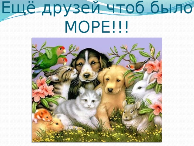 Ещё друзей чтоб было МОРЕ!!! 