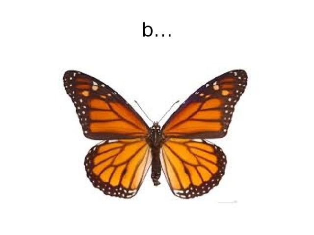 b… 