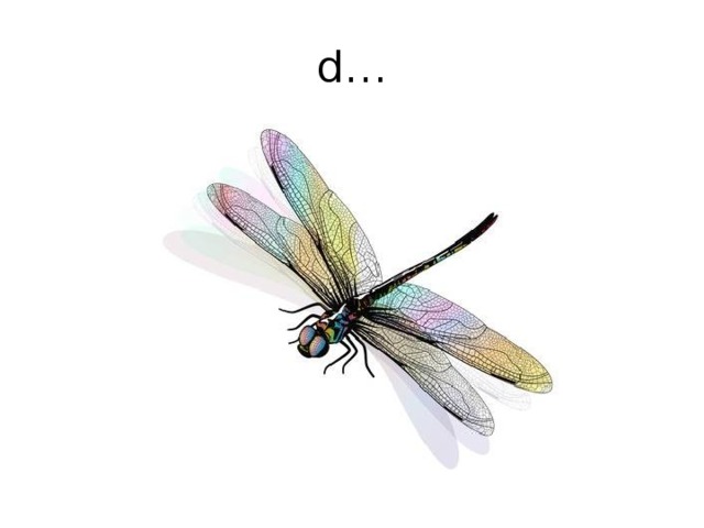 d… 
