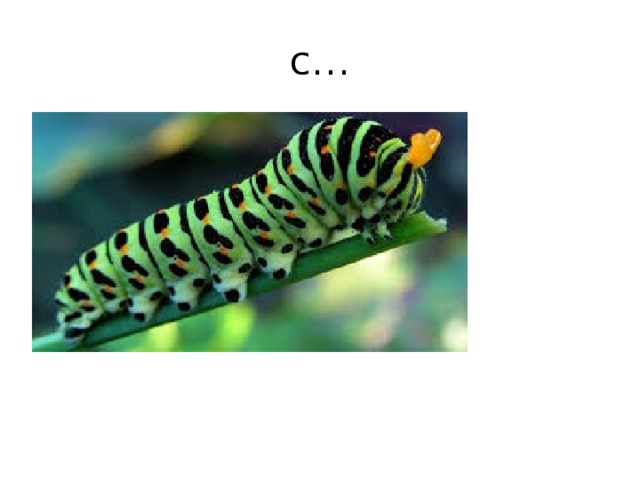 c… 