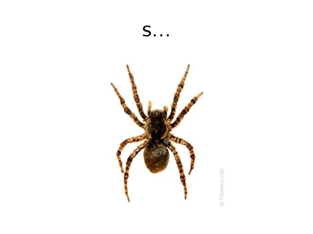s… 