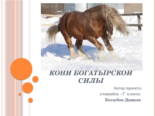 Кони богатырской силы Автор проекта: учащийся «7
