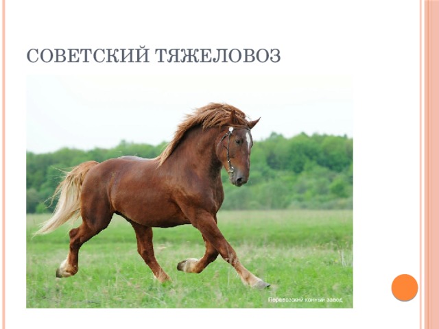 Советский тяжеловоз 