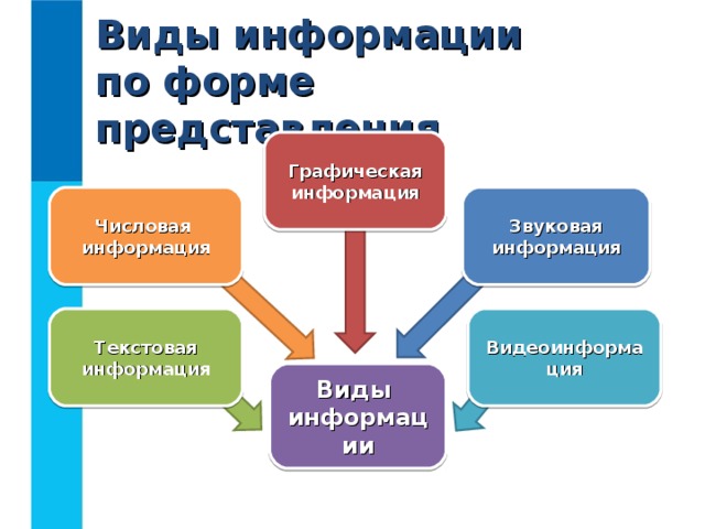Виды информации  по форме представления Графическая  информация Числовая  информация Звуковая  информация Текстовая  информация Видеоинформация Виды  информации 