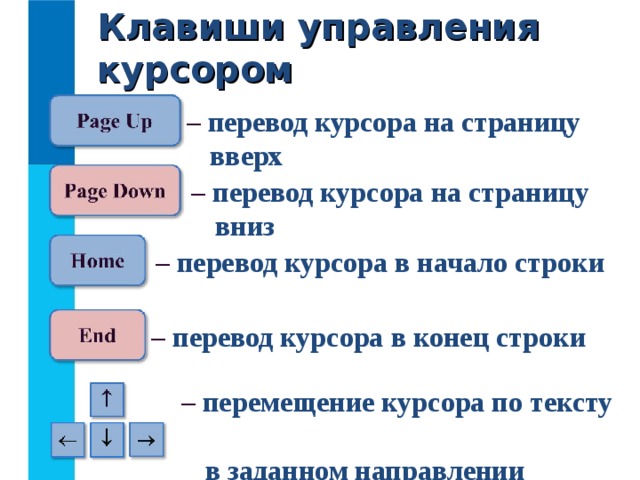 Клавиши управления курсором –  перевод курсора на страницу  вверх –  перевод курсора на страницу  вниз   –  перевод курсора в начало строки  –  перевод курсора в конец строки  –  перемещение курсора по тексту  в заданном направлении 