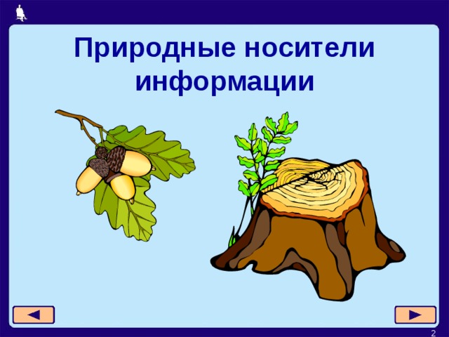 Природные носители информации  