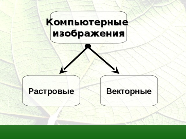Компьютерные изображения Растровые Векторные 