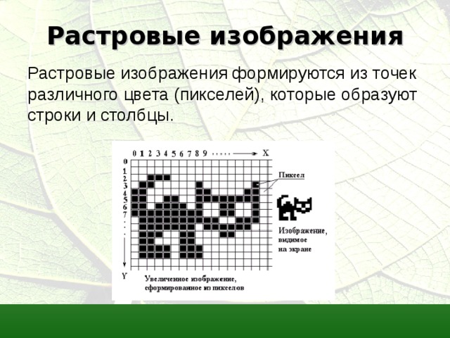 Растровые изображения Растровые изображения формируются из точек различного цвета (пикселей), которые образуют строки и столбцы. 