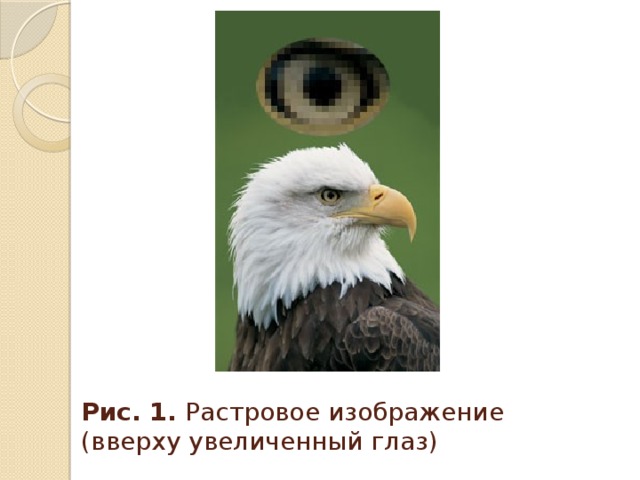 Рис. 1. Растровое изображение (вверху увеличенный глаз) 
